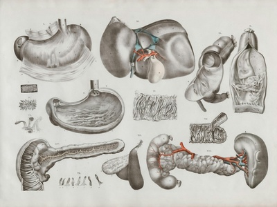 Exploratory Laparotomy