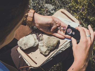 Field Identification