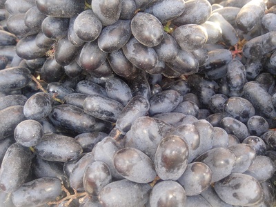 Grapes