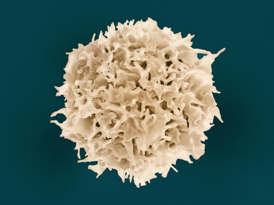Immunopharmacology