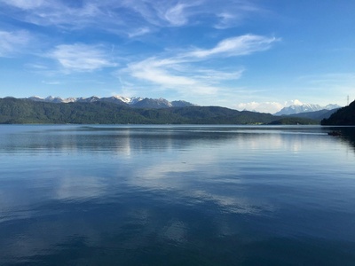 Lake Lucerne Whitefish