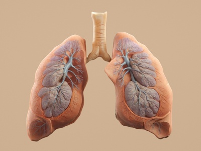 Lobectomy (Lung)