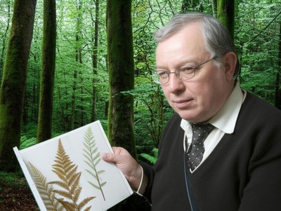 Mathias Kirsch