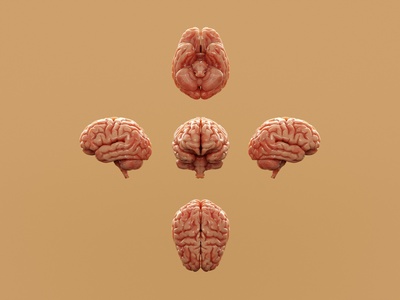Neuropharmacology