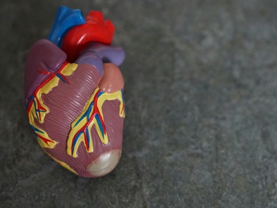 Open Heart Bypass (CABG)