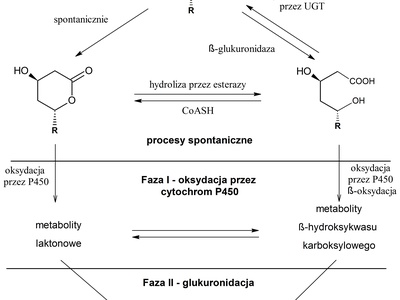 Pharmacogenetics