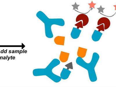 Therapeutic drug monitoring