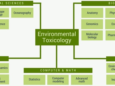Toxicology