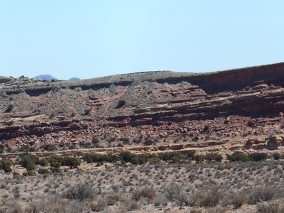 Type Locality