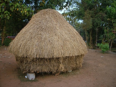 Wapulumuka Mulwafu