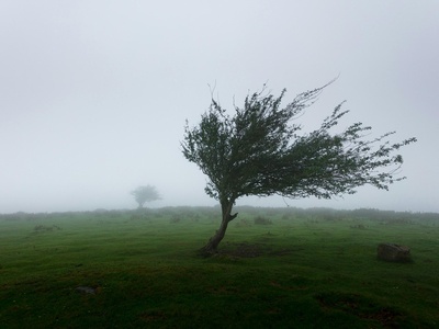 Wind