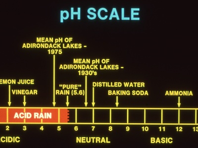 Acid Rain