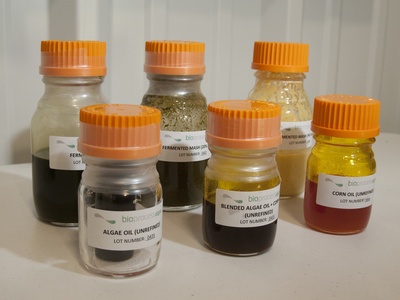 Algae Biofuels