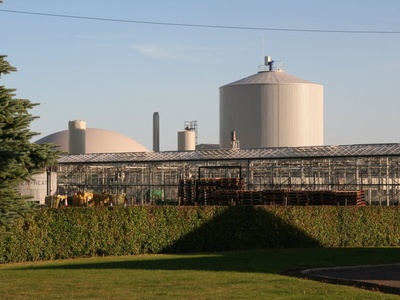 Anaerobic Digestion (Biogas)