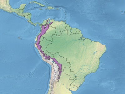 Andean forests and páramos