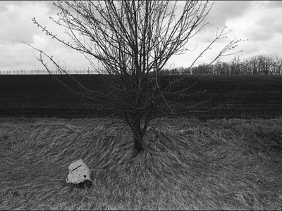 Arable land
