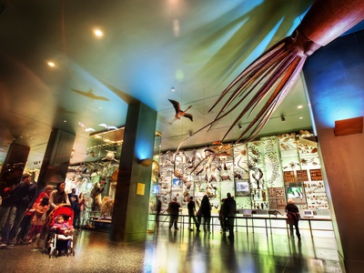 Biodiversity