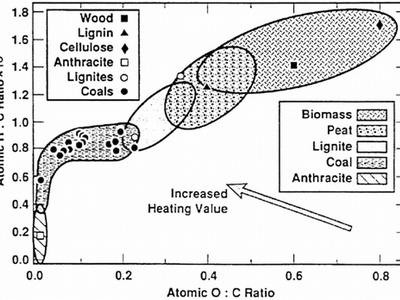 Biomass Direct Combustion