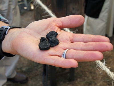 Coal