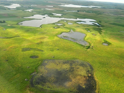 Conservation Easement