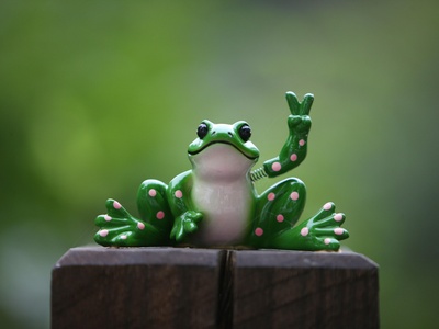 Darwin's Frog
