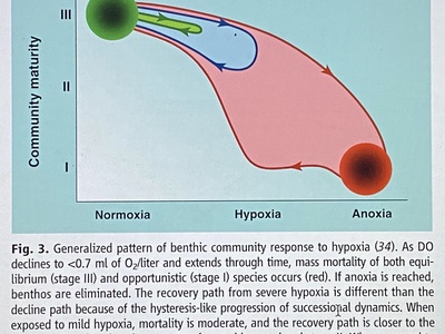 Dead Zones (Hypoxia)