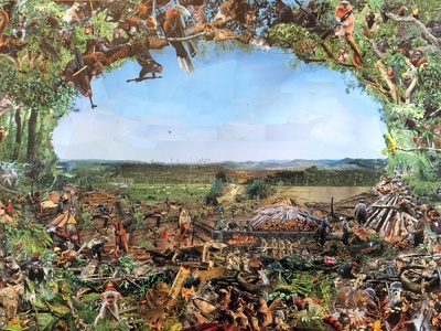 Deforestation