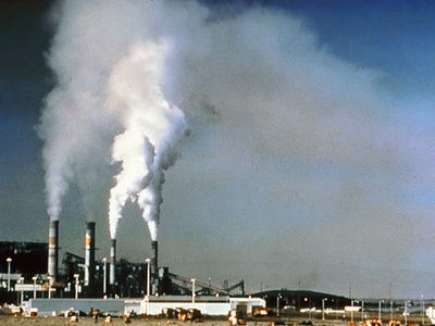Ecotoxicology