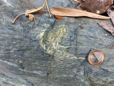 Epidote Schist
