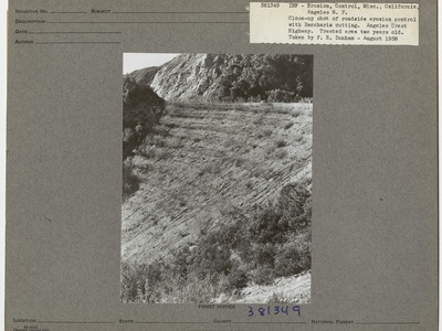 Erosion Control
