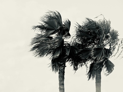 European windstorm
