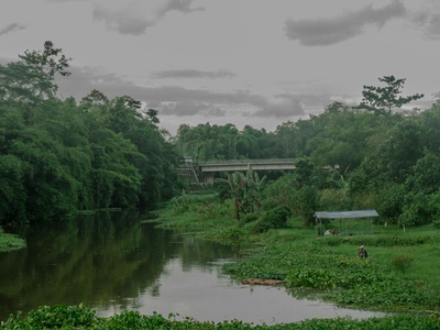 Eutrophication