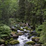 featured_image