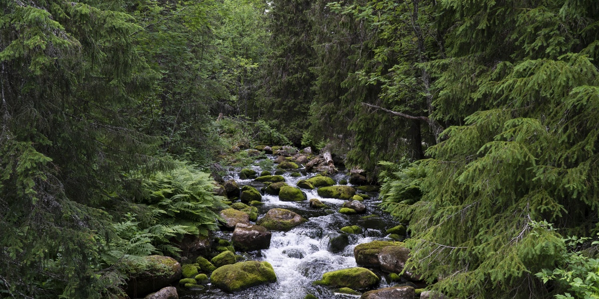 featured_image