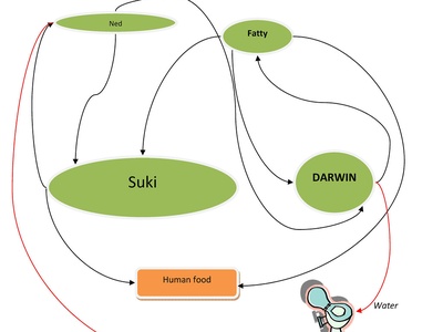 Food Webs