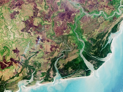 Freshwater fish diversity