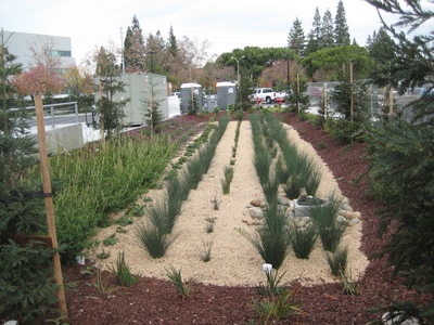 Green Infrastructure