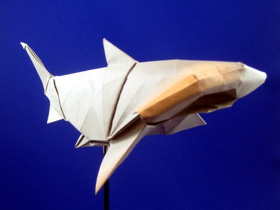 Hammerhead Shark