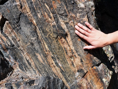 Hornblende Gneiss
