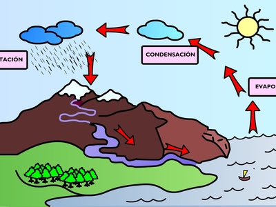 Hydrological Cycle (Water Cycle)