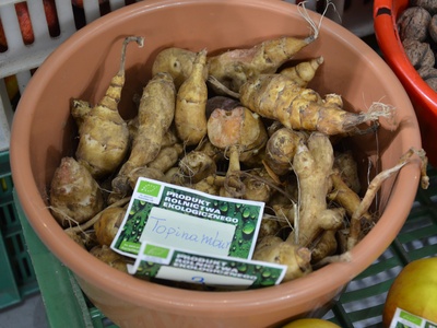 Jerusalem artichoke (sunchoke)