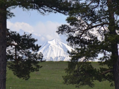 Kösedağ