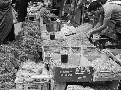 Medicinal and aromatic plants