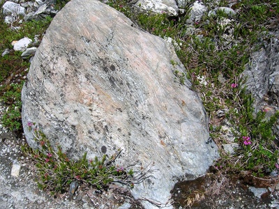 Metachert