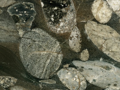 Metaconglomerate