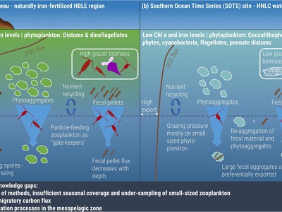 Nutrient Cycling