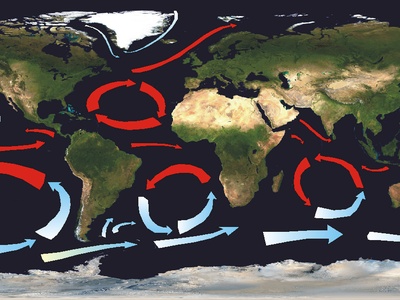 Ocean Gyres