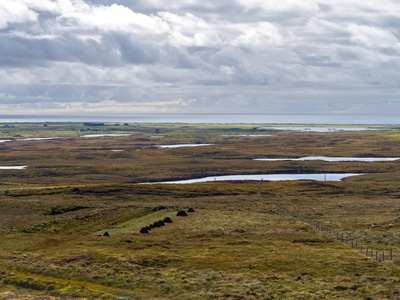Peatlands