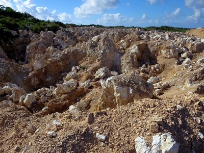 Phosphate rock