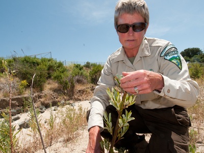 Riparian Zone Management